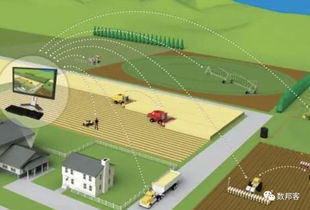 區塊鏈未死 2019年農業領域或將浴火重生，技術交流引領變革